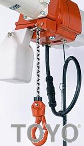 進(jìn)口微型電動葫蘆